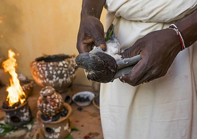 Marabout africain île de France